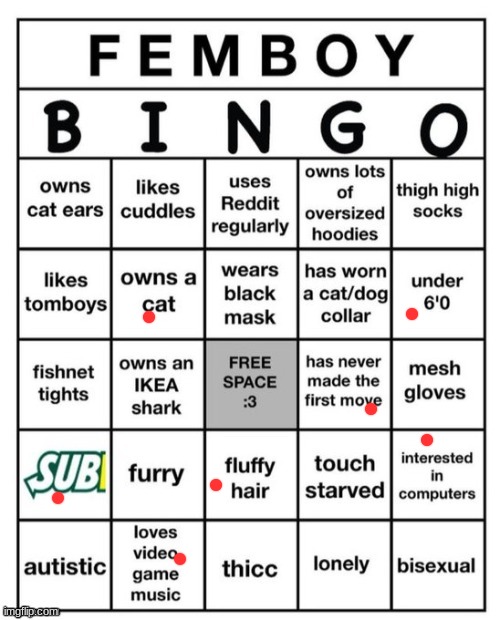 Femboy Bingo | image tagged in femboy bingo | made w/ Imgflip meme maker