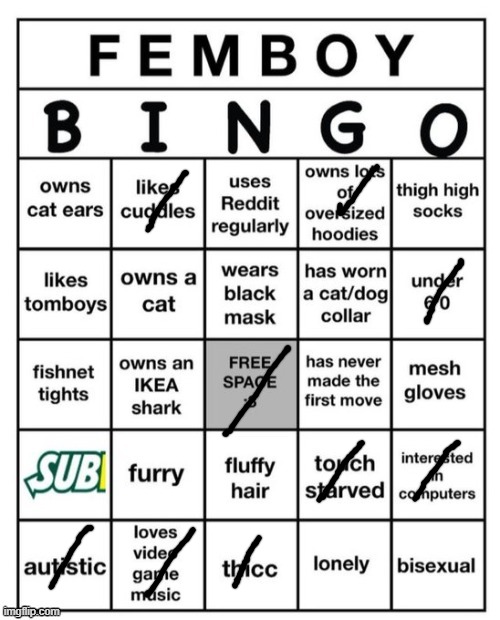Femboy Bingo | image tagged in fombey bingo | made w/ Imgflip meme maker