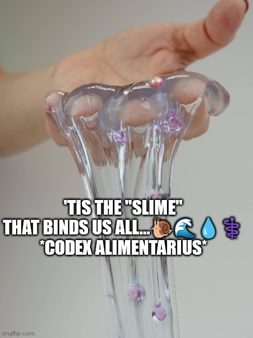Slime | 'TIS THE "SLIME" THAT BINDS US ALL...🐌🌊💧⚕️
*CODEX ALIMENTARIUS* | image tagged in slime | made w/ Imgflip meme maker