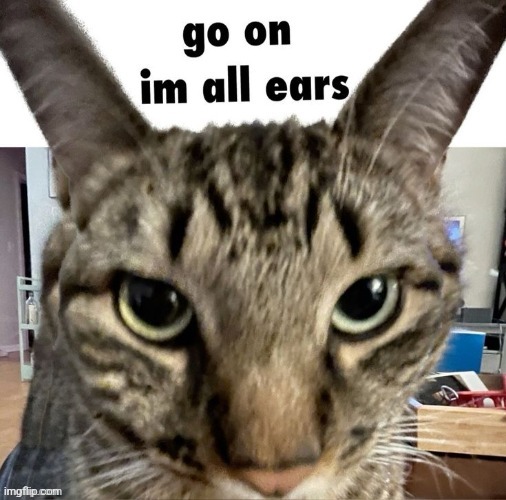 go on. im all ears | image tagged in go on im all ears | made w/ Imgflip meme maker