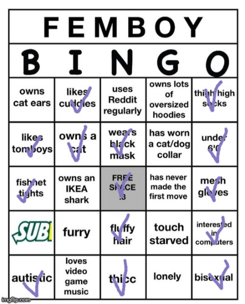 Bingo | image tagged in femboy bingo | made w/ Imgflip meme maker