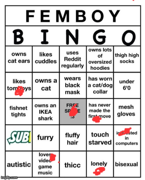 I did this as a joke. I am straight and not a femboy | image tagged in femboy bingo | made w/ Imgflip meme maker