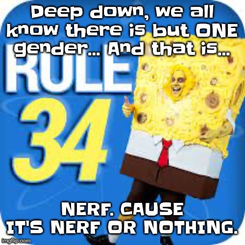 /qj (quarter joking) | Deep down, we all know there is but ONE gender... And that is... NERF. CAUSE IT'S NERF OR NOTHING. | image tagged in spob | made w/ Imgflip meme maker