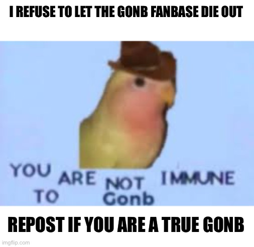 Gonb | I REFUSE TO LET THE GONB FANBASE DIE OUT; REPOST IF YOU ARE A TRUE GONB | image tagged in gonb | made w/ Imgflip meme maker
