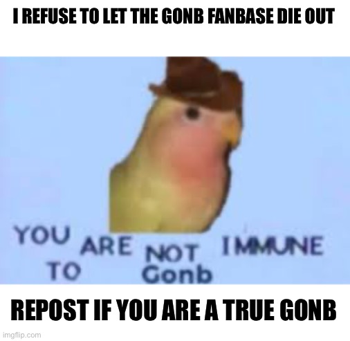 I refuse to let the gonb fanbase die out Blank Meme Template