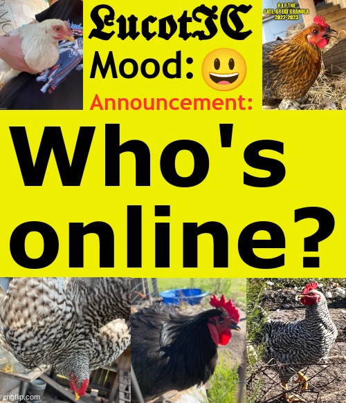 . | 😃; Who's 
online? | image tagged in lucotic's cocks announcement template | made w/ Imgflip meme maker