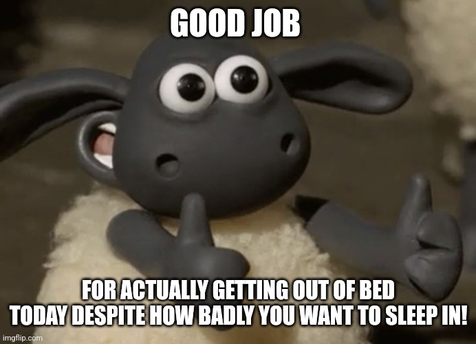 When you just want to sleep | GOOD JOB; FOR ACTUALLY GETTING OUT OF BED TODAY DESPITE HOW BADLY YOU WANT TO SLEEP IN! | image tagged in thumbs up sheep | made w/ Imgflip meme maker