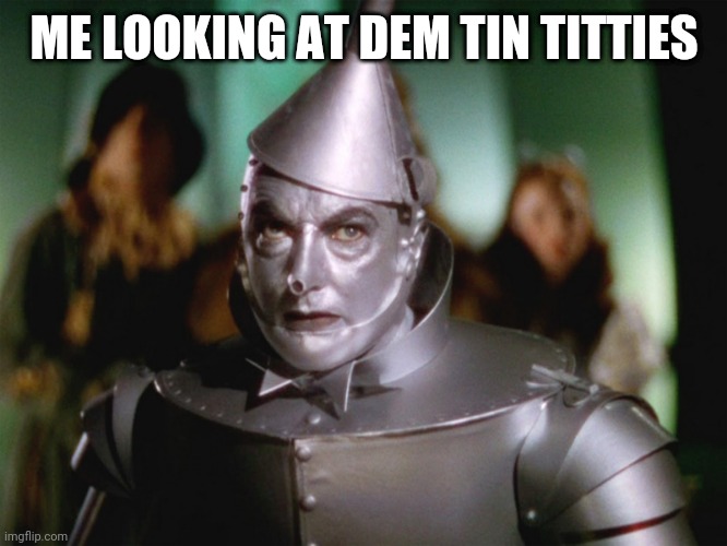 wizard of oz tin man | ME LOOKING AT DEM TIN TITTIES | image tagged in wizard of oz tin man | made w/ Imgflip meme maker