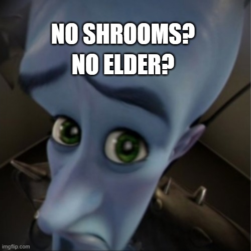 Megamind peeking | NO ELDER? NO SHROOMS? | image tagged in megamind peeking | made w/ Imgflip meme maker