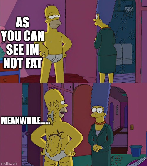 lol | AS YOU CAN SEE IM NOT FAT; MEANWHILE...... | image tagged in homer simpson's back fat,lol so funny | made w/ Imgflip meme maker