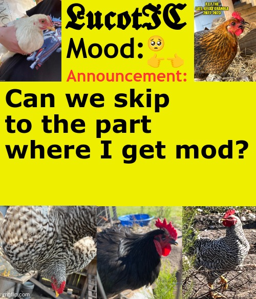 . | 🥺
👉👈; Can we skip to the part where I get mod? | image tagged in lucotic's cocks announcement template | made w/ Imgflip meme maker