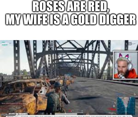 If you know, you know | ROSES ARE RED,
MY WIFE IS A GOLD DIGGER | image tagged in blank white template,pewdiepie in the bridge,oh wow are you actually reading these tags | made w/ Imgflip meme maker