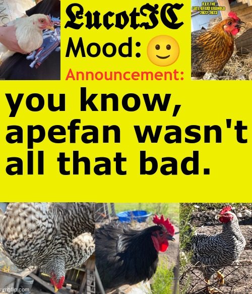 . | 🙂; you know, apefan wasn't all that bad. | image tagged in lucotic's cocks announcement template | made w/ Imgflip meme maker