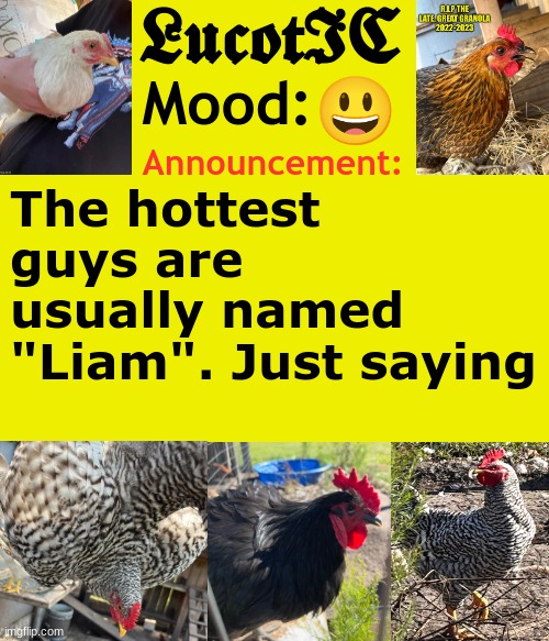 . | 😃; The hottest guys are usually named "Liam". Just saying | image tagged in lucotic's cocks announcement template | made w/ Imgflip meme maker