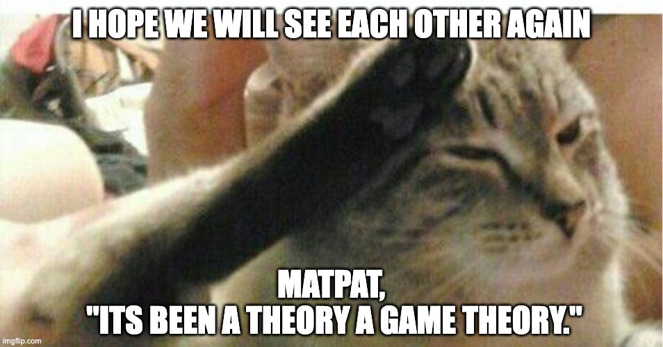 I HOPE WE WILL SEE EACH OTHER AGAIN MATPAT, 
"ITS BEEN A THEORY A GAME THEORY." | image tagged in cat of honor | made w/ Imgflip meme maker