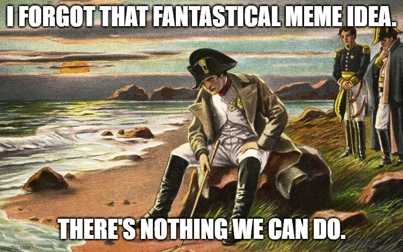 ouch. | I FORGOT THAT FANTASTICAL MEME IDEA. THERE'S NOTHING WE CAN DO. | image tagged in napoleon,memes | made w/ Imgflip meme maker
