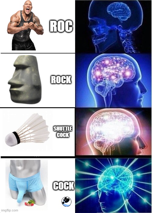 bro wha? | ROC; ROCK; SHUTTLE COCK; COCK | image tagged in memes,expanding brain | made w/ Imgflip meme maker