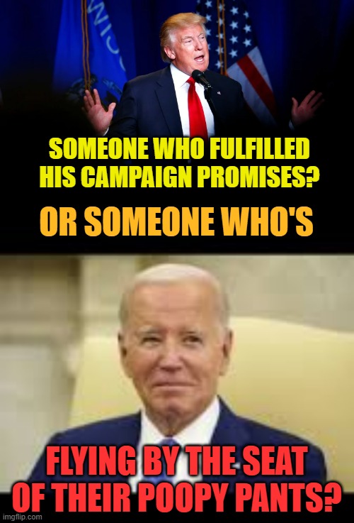Something To Think About | SOMEONE WHO FULFILLED HIS CAMPAIGN PROMISES? OR SOMEONE WHO'S; FLYING BY THE SEAT OF THEIR POOPY PANTS? | image tagged in memes,trump,i did it,promises,joe biden,poopy pants | made w/ Imgflip meme maker