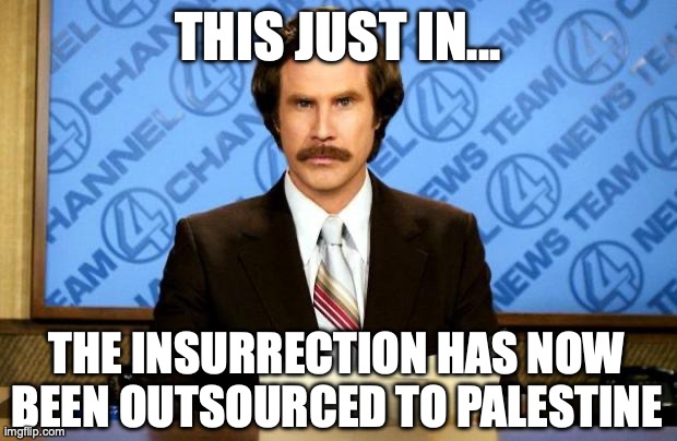Outsourced Insurrection | THIS JUST IN... THE INSURRECTION HAS NOW BEEN OUTSOURCED TO PALESTINE | image tagged in breaking news,just for fun | made w/ Imgflip meme maker