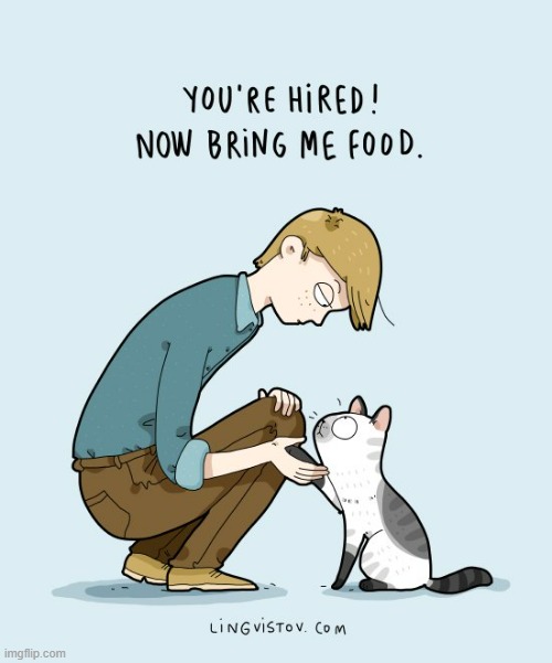A Cat's Way Of Thinking | image tagged in memes,comics/cartoons,cats,you're hired,now,food | made w/ Imgflip meme maker
