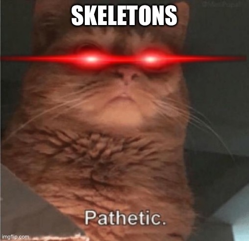 Pathetic Cat | SKELETONS | image tagged in pathetic cat | made w/ Imgflip meme maker