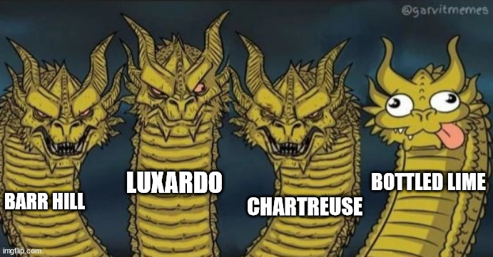 4 headed dragon | LUXARDO; BOTTLED LIME; CHARTREUSE; BARR HILL | image tagged in 4 headed dragon | made w/ Imgflip meme maker