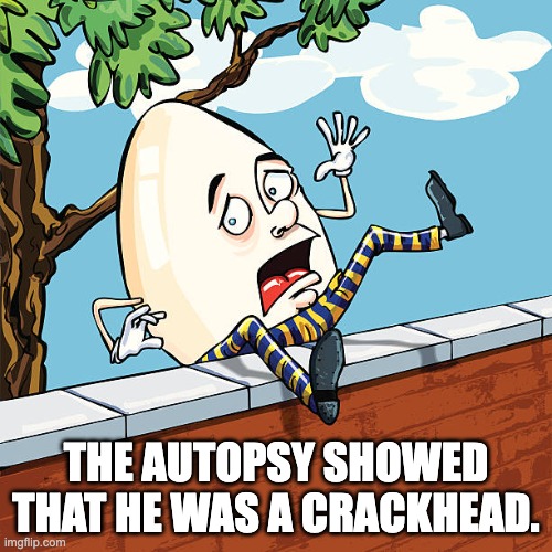 Cracked | THE AUTOPSY SHOWED THAT HE WAS A CRACKHEAD. | image tagged in humpty dumpty | made w/ Imgflip meme maker