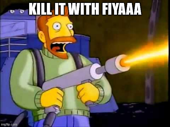 Kill it with fire | KILL IT WITH FIYAAA | image tagged in kill it with fire | made w/ Imgflip meme maker