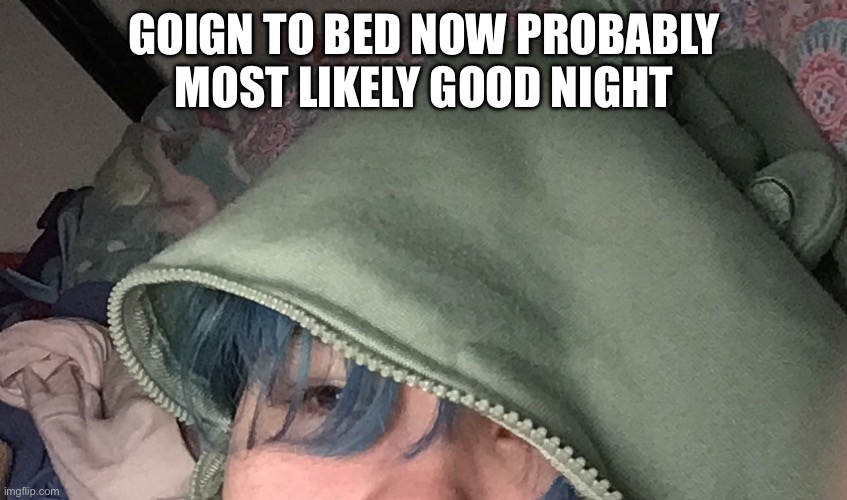 GOIGN TO BED NOW PROBABLY MOST LIKELY GOOD NIGHT | made w/ Imgflip meme maker