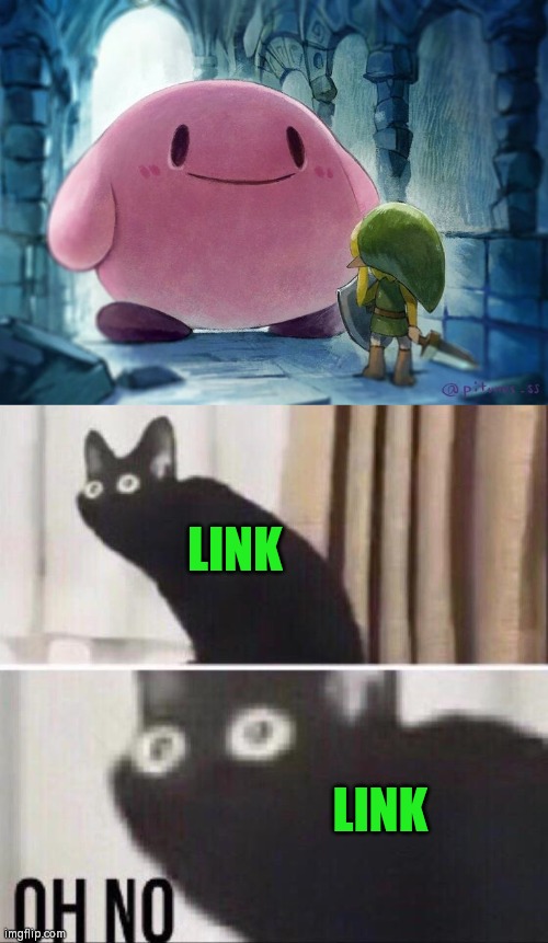 Bye Bye, Link. | LINK; LINK | image tagged in oh no cat,funny,kirby,link | made w/ Imgflip meme maker