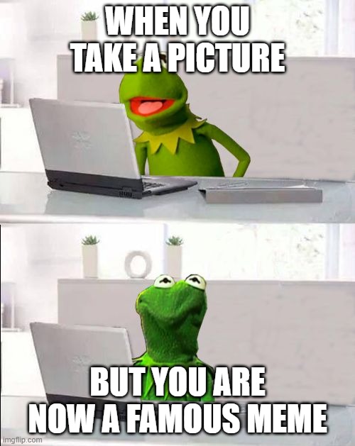 Hide The Pain Kermit | WHEN YOU TAKE A PICTURE; BUT YOU ARE NOW A FAMOUS MEME | image tagged in hide the pain kermit | made w/ Imgflip meme maker