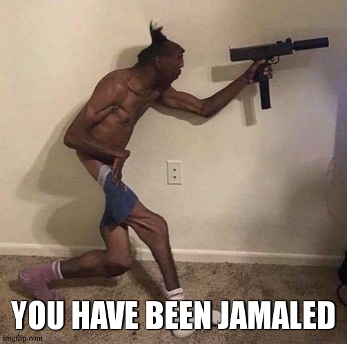jamal | YOU HAVE BEEN JAMALED | image tagged in jamal | made w/ Imgflip meme maker