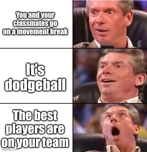 To be honest, I really love dodgeball! | You and your classmates go on a movement break; It's dodgeball; The best players are on your team | image tagged in vince mcmahon,dodgeball | made w/ Imgflip meme maker