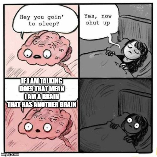 Hey you going to sleep? | IF I AM TALKING DOES THAT MEAN I AM A BRAIN THAT HAS ANOTHER BRAIN | image tagged in hey you going to sleep | made w/ Imgflip meme maker