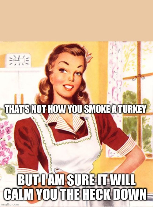 50s Housewife | THAT'S NOT HOW YOU SMOKE A TURKEY BUT I AM SURE IT WILL CALM YOU THE HECK DOWN | image tagged in 50s housewife | made w/ Imgflip meme maker