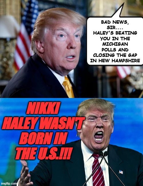 He already played you for fools once on that score, Trump-cult kids... are you going to fall for it again? | BAD NEWS, SIR.... HALEY'S BEATING YOU IN THE MICHIGAN POLLS AND CLOSING THE GAP IN HEW HAMPSHIRE; NIKKI HALEY WASN'T BORN IN THE U.S.!!! | image tagged in dumb surprised trump,angry trump,lying,evil toddler | made w/ Imgflip meme maker