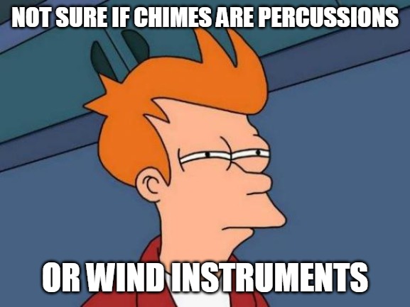Futurama Fry Meme | NOT SURE IF CHIMES ARE PERCUSSIONS; OR WIND INSTRUMENTS | image tagged in memes,futurama fry,meme | made w/ Imgflip meme maker