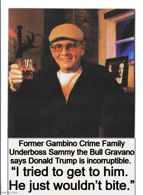 Why Washington Hates Trump | Former Gambino Crime Family Underboss Sammy the Bull Gravano says Donald Trump is incorruptible. “I tried to get to him. 
He just wouldn’t bite.” | image tagged in politics,donald trump,a good guy,sammy the bull gravano,gambino crime family,maga | made w/ Imgflip meme maker