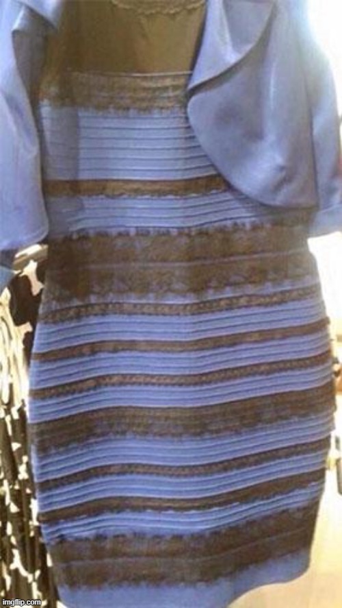 Blue and black or white and gold? | image tagged in blue and black or white and gold | made w/ Imgflip meme maker