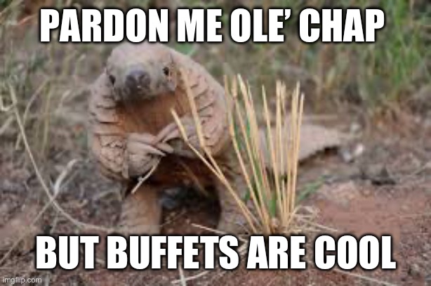 Pangolin | PARDON ME OLE’ CHAP; BUT BUFFETS ARE COOL | image tagged in funny memes | made w/ Imgflip meme maker