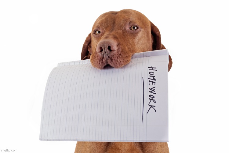 Dog Ate Homework | image tagged in dog ate homework | made w/ Imgflip meme maker