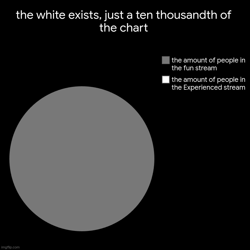 the white exists, just a ten thousandth of the chart | the amount of people in the Experienced stream, the amount of people in the fun strea | image tagged in charts,pie charts | made w/ Imgflip chart maker