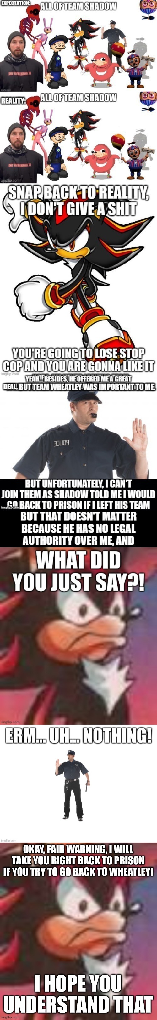 Intimidation | OKAY, FAIR WARNING, I WILL TAKE YOU RIGHT BACK TO PRISON IF YOU TRY TO GO BACK TO WHEATLEY! I HOPE YOU UNDERSTAND THAT | image tagged in shadow the hedgehog | made w/ Imgflip meme maker