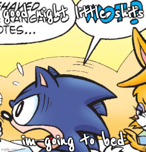 sonic wot | good night little shits; im going to bed | image tagged in sonic wot | made w/ Imgflip meme maker