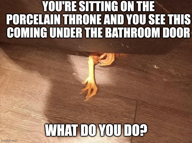 Choose your own adventure | YOU'RE SITTING ON THE PORCELAIN THRONE AND YOU SEE THIS COMING UNDER THE BATHROOM DOOR; WHAT DO YOU DO? | image tagged in chicken | made w/ Imgflip meme maker