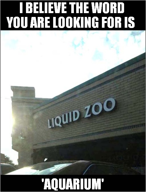 Liquid Zoo ? | I BELIEVE THE WORD YOU ARE LOOKING FOR IS; 'AQUARIUM' | image tagged in liquid,zoo,aquarium | made w/ Imgflip meme maker