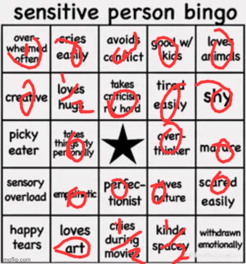 Image title | image tagged in sensitive person bingo | made w/ Imgflip meme maker