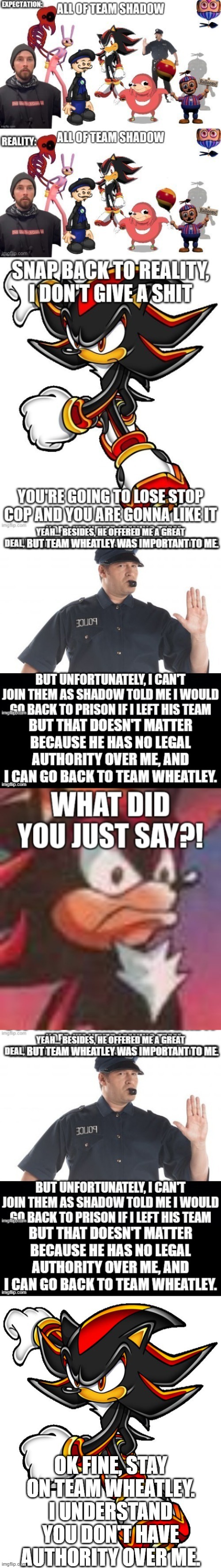 Stop beating a dead horse | OK FINE, STAY ON TEAM WHEATLEY. I UNDERSTAND YOU DON'T HAVE AUTHORITY OVER ME. | image tagged in shadow the hedgehog | made w/ Imgflip meme maker