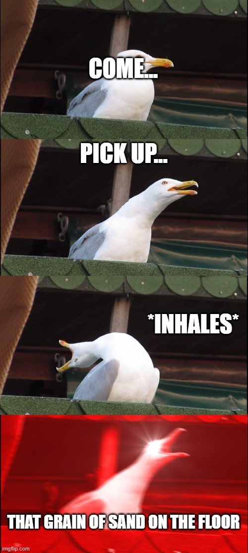 Moms be like | COME... PICK UP... *INHALES*; THAT GRAIN OF SAND ON THE FLOOR | image tagged in memes,inhaling seagull | made w/ Imgflip meme maker