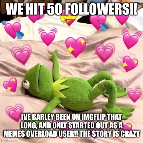 ily all who follow me platonically | WE HIT 50 FOLLOWERS!! IVE BARLEY BEEN ON IMGFLIP THAT LONG, AND ONLY STARTED OUT AS A MEMES OVERLOAD USER!! THE STORY IS CRAZY | image tagged in kermit in love | made w/ Imgflip meme maker
